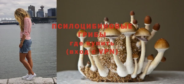 амф Аркадак