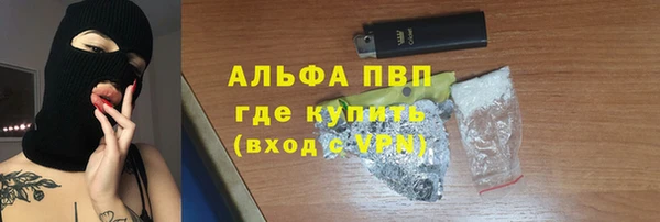 амф Аркадак